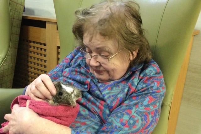 The care home welcomed two new family members