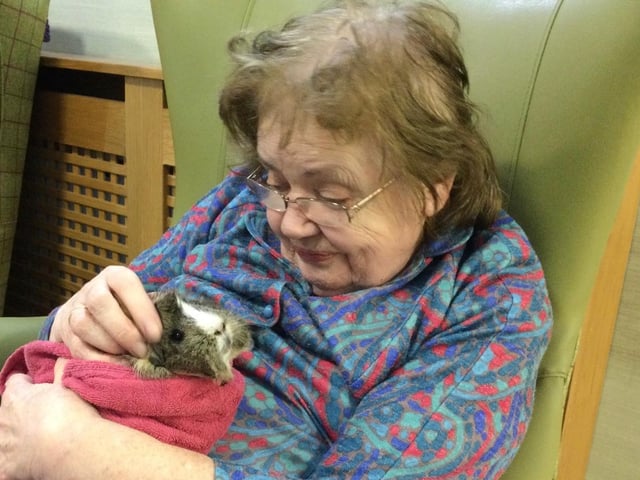 The care home welcomed two new family members