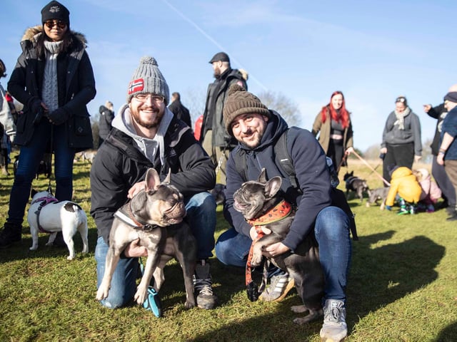 The monthly French Bulldog group walk at Hunsbury Hill Country Park on Sunday, January 30. Photo by Kirsty Edmonds.