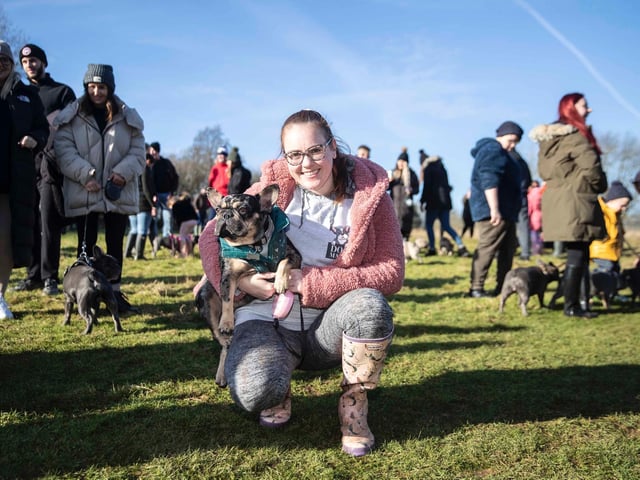 The monthly French Bulldog group walk at Hunsbury Hill Country Park on Sunday, January 30. Photo by Kirsty Edmonds.