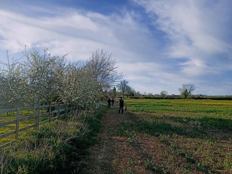 Armed police stand-off in Harpole