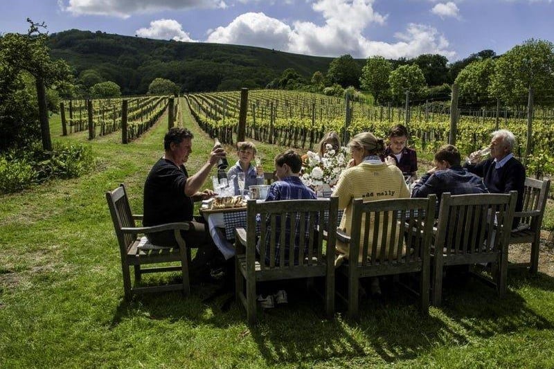 A family run boutique vineyard producing multi award winning Sparkling wine within the unique chalky landscape of the South Downs National Park.