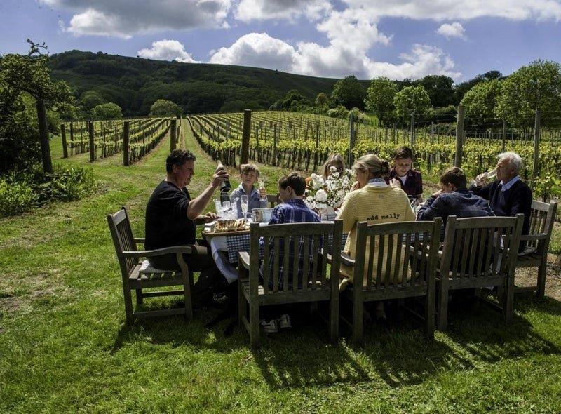 A family run boutique vineyard producing multi award winning Sparkling wine within the unique chalky landscape of the South Downs National Park.