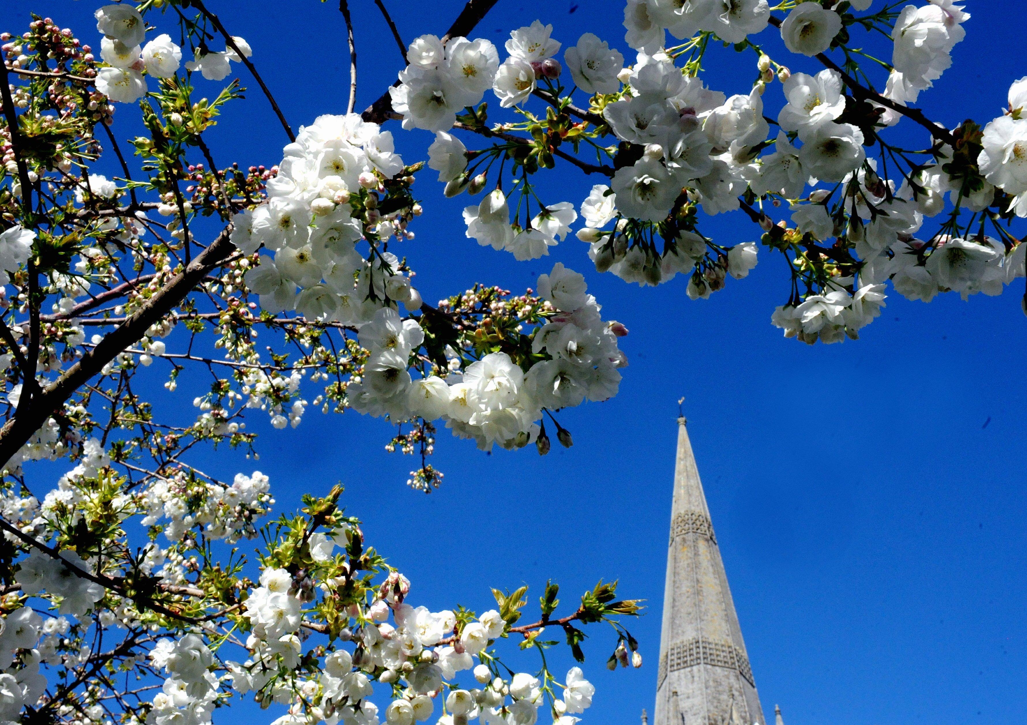 Average house prices revealed for neighbourhoods across the Chichester district