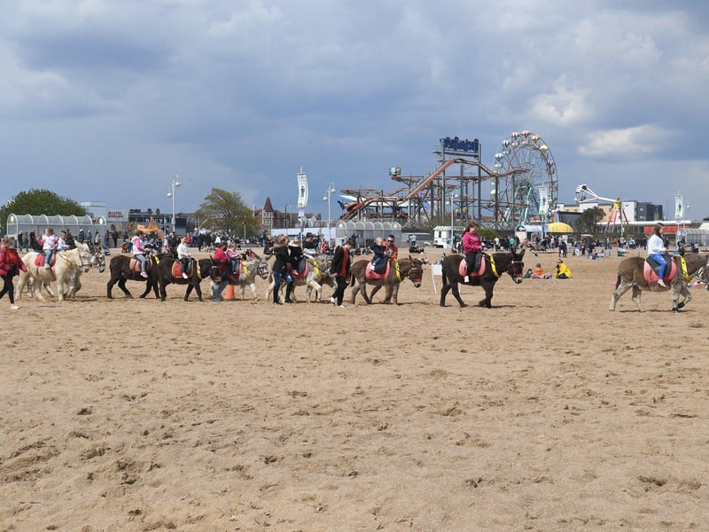 Great to see donkeys back on the beach in Skegness over May bank holiday weekend ANL-210405-134101001