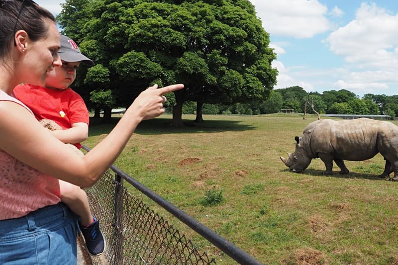 ZSL Whipsande Zoo reopens