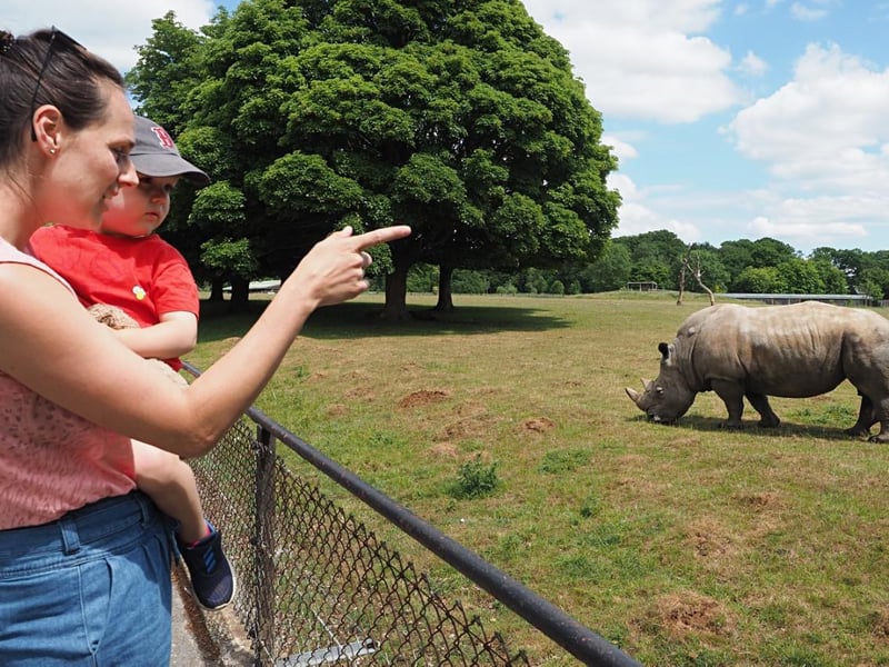 ZSL Whipsande Zoo reopens