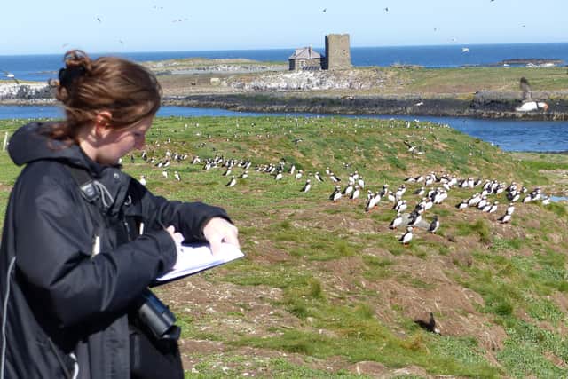 Harriet Reid, National Trust ranger for the Farne Islands carrying out checks on the puffins.