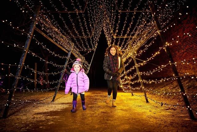 In response to popular demand, the famed North East winter Light Trail at The Alnwick Garden will be extended from November 2023 to January 2024. As an added bonus, the experience promises be more breathtaking than ever thanks to a variety of new light installations in a range of vibrant colours. It runs from November 13 to January 7. Tickets are £13.20, under 4s go free from www.alnwickgarden.com