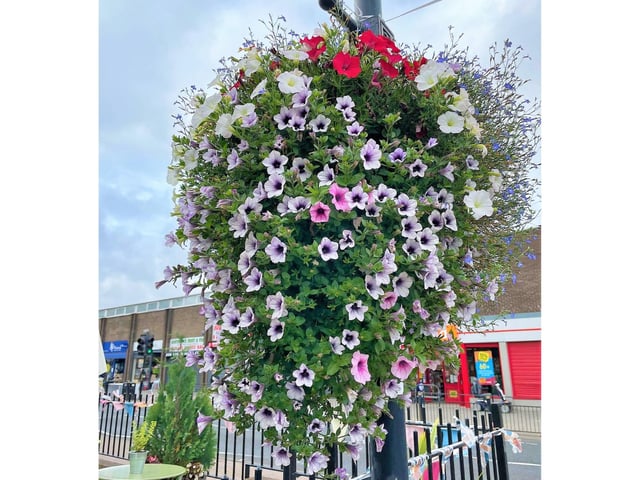 The display included hanging plants.