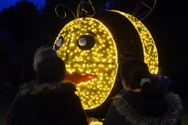 The new giant bumble bee was one of the favourites with children at the Festival of Light preview night at Roker Park.