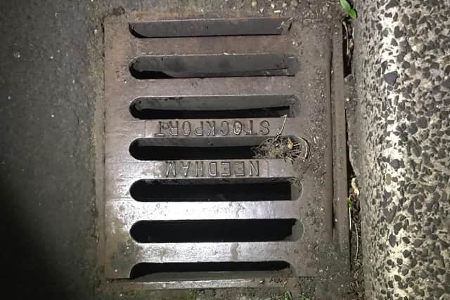The drain cover.