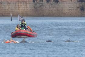 This is the shot Daz Martin took of Verity Green as she was joined by dolphins in the sea off Roker Beach as she trains to swim the English Channel.
