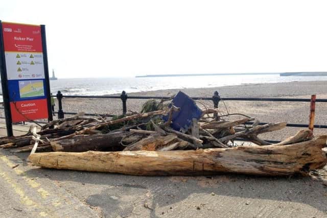 Storms often bring driftwood to the shore at Roker