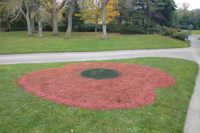 Poppies have been painted around Sunderland ahead of Remembrance Sunday.