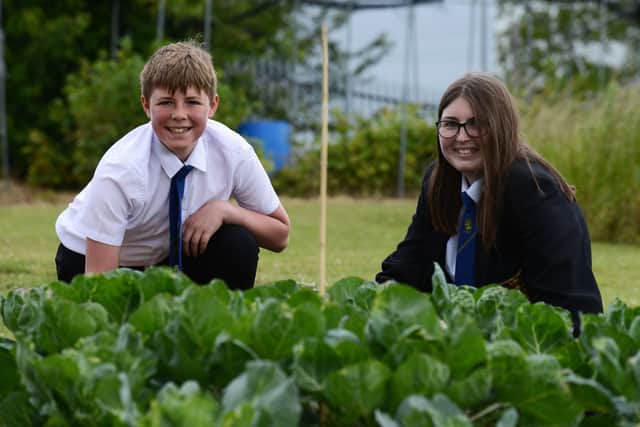 Sandhill View Academy pupils Charlie Hutchinson and Macie Sloane cast their eyes over the school's eco garden. 

Picture by FRANK REID