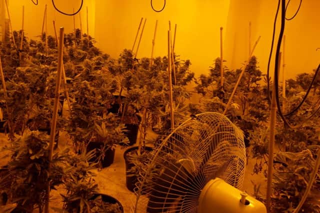 Northumbria Police have charged an 18-year-old after the cannabis farm was discovered