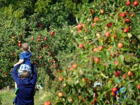 Apple Day at Lotherton Hall, near Leds