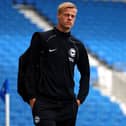 Brighton defender Jan Paul van Hecke. (Photo by Bryn Lennon/Getty Images)