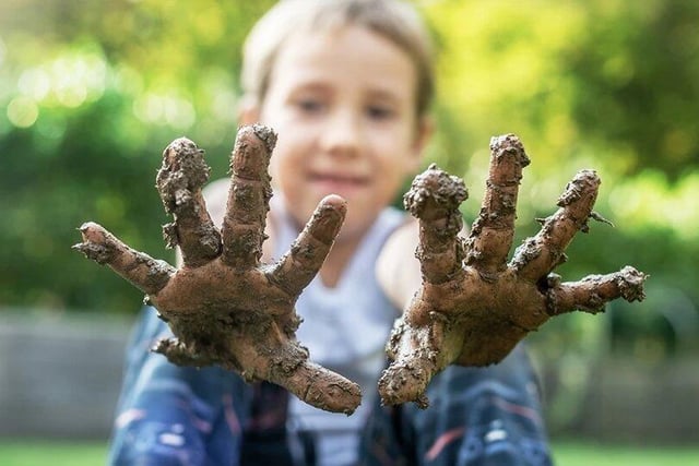 A Mudfest takes place at WWT from February 18 -26. You’ll discover the magic of mud and just how much fun it can be. Come prepared to get messy and discover there’s more to mud than meets the eye with a series of activities including muddy guided walks, muddy games, mud-themed story time and crafts.