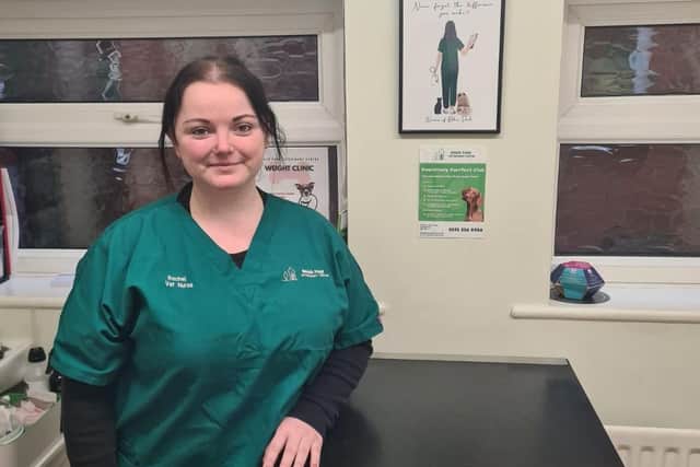 Veterinary nurse, Rachel Gallagher, is "extremely worried" abut the rise in cases.
