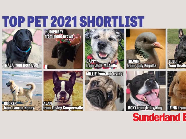 Who will get your vote to be crowned Sunderland's Top Pet?