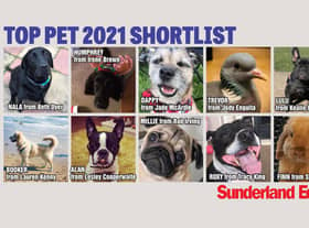 Who will get your vote to be crowned Sunderland's Top Pet?