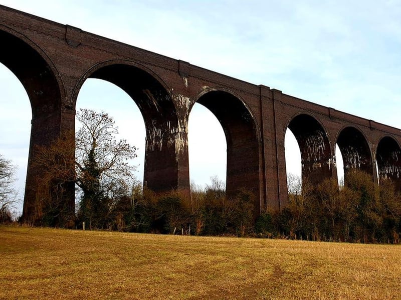 Debra Rooke, said: "Quarry Park is looking particularly stunning at the moment with all the daffs out. Bluebells will be in the woods soon too. Also Potteric Carr is an excellent walk and the walk from Sprotbrough Flash to Conisbrough Viaduct ( which is longer and taller than the famous Ribblehead viaduct!) Or even further to the castle!"