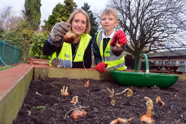 Broadway Junior School pupil Jason Whitfield, 10 and Higher Level Teaching Assistant Carole Summers pick the last of this year's onions.