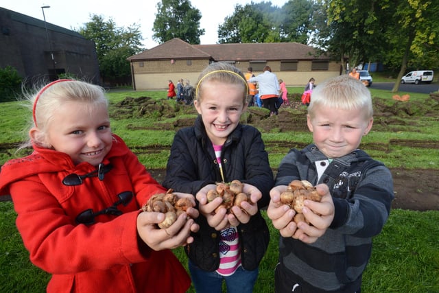 Barmston Primary School Year 3 pupils Grace Tumilty, Iona Tibbo, and Daniel Crawford all aged 7, planting bulbs in Barmston Village 10 years ago.