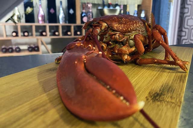 There's lots of fresh seafood on the menu