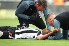 Joe Willock of Newcastle United receives medical treatment after colliding with Vicente Guaita of Crystal Palace (not pictured), leading to a VAR decision to rule out a Newcastle United goal during the Premier League match between Newcastle United and Crystal Palace at St. James Park on September 03, 2022 in Newcastle upon Tyne, England. (Photo by Jan Kruger/Getty Images)