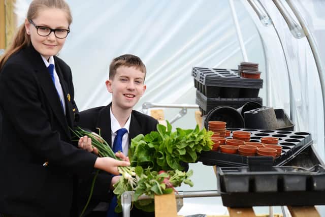 Sandhill View Academy pupils Payton Lancaster and Jay Ferry in the polytunnel with some of the harvested crops

Picture by FRANK REID