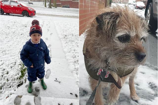 Snow pictures shared by our readers Toni Terry and Cheryl Fox.