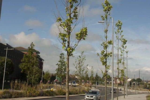 Traffic levels have gradually crept back up on St Mary's Boulevard, in the centre of Sunderland, according to new figures.