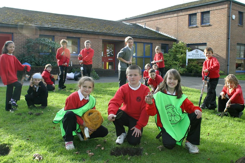Buxton Junior School took part in bulb planting