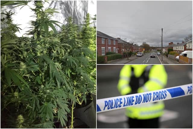 Police uncovered a cannabis farm in Chester-le-Street when they were called to a report of an assault.