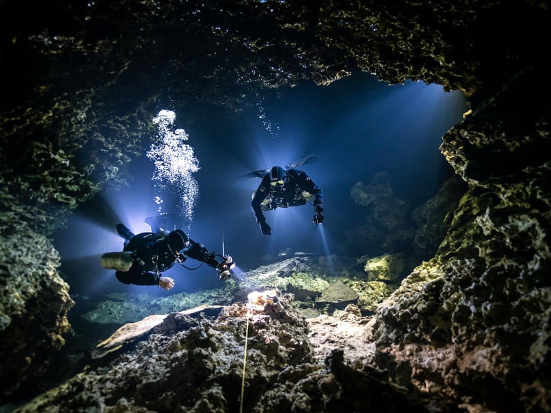 Category Winner. Up & Coming . Most Promising British Underwater Photographer 2021 
  Nationality: Mexico