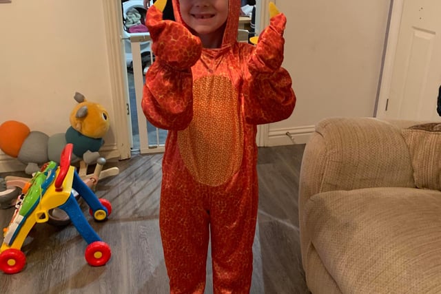 Vinny Oliver, 6 dressed up as Zog. Photo sent in by Hayley Brailsford
