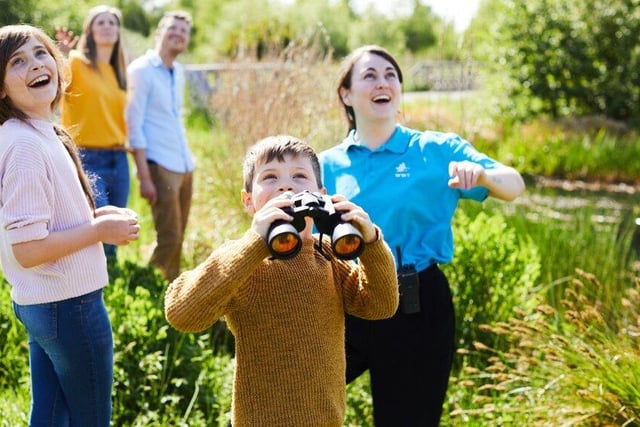 There's plenty happening at WWT this summer.
Activities include becoming a junior Wetland Ranger. Enjoy an adventure-packed timetable of ranger activities throughout the holidays. Designed to teach valuable skills while having fun outdoors, these interactive challenges will reconnect visitors young and old with nature through wild play and exploration. There are loads of exciting wetland challenges waiting for you like bird spotting, bug hunting and more.
Visit wwwt.org. uk for details.