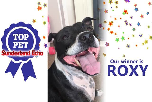 Roxy is our Top Pet competition winner!