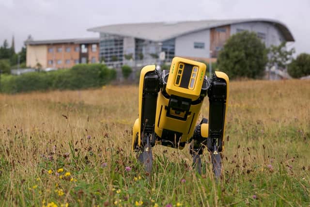 Bernard the robotic dog is set to be tested in search and rescue operations. Photo: David James Wood.