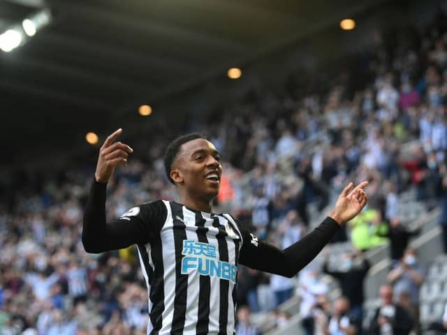 Newcastle United midfielder Joe Willock. (Photo by Stu Forster/Getty Images)