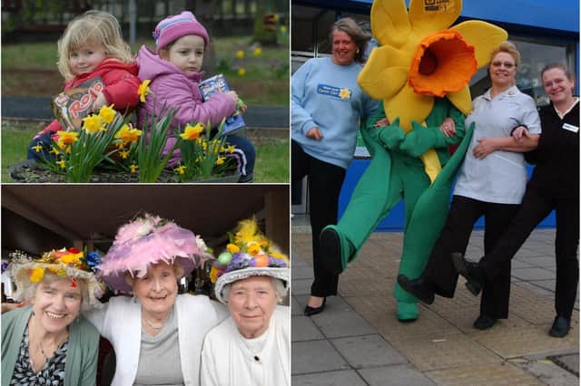 10 daffodil scenes from the past. How many do you remember?