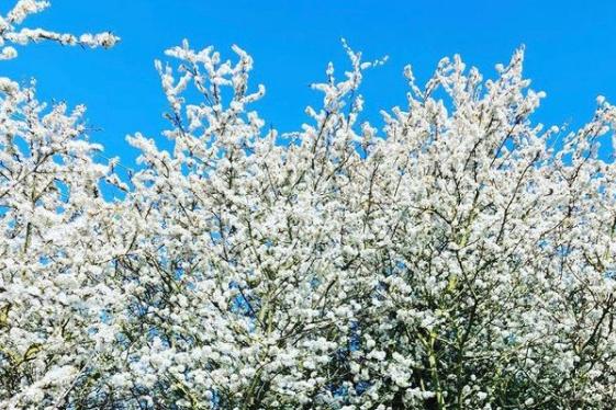 Hasn't it been nice to see a few more blue skies recently ? From @donny_snapper_1979