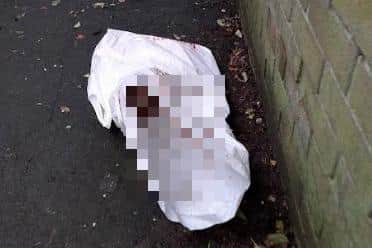 The dead deer was found in a bag in a Sunderland alleyway.