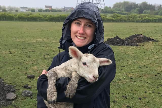 RSPCA animal collection officer Emily Welch was called to help rescue the lamb.