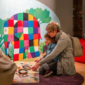Elmer and Friends, the Colourful World of David McKee, opens at the Museum & Winter Gardens on Monday, September 11.
