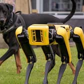 University of Sunderland's Faculty of Technology’s new robotic dog meets real dog Diego during its tour of the St Peters Camus. Photo: David James Wood.