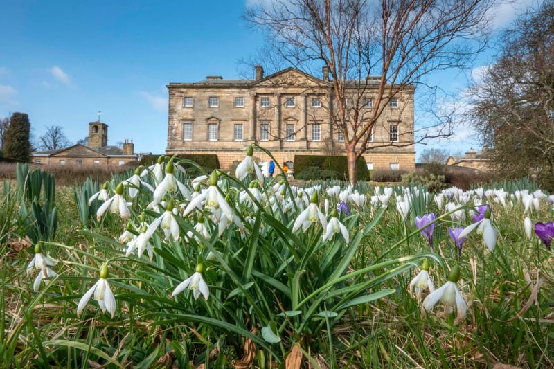 Outdoor areas as Howick Hall Gardens & Arboretum, the ancestral seat of the Earls Grey since 1319, are open. Visit https://howickhallgardens.com/ for more details. Picture: Jane Coltman